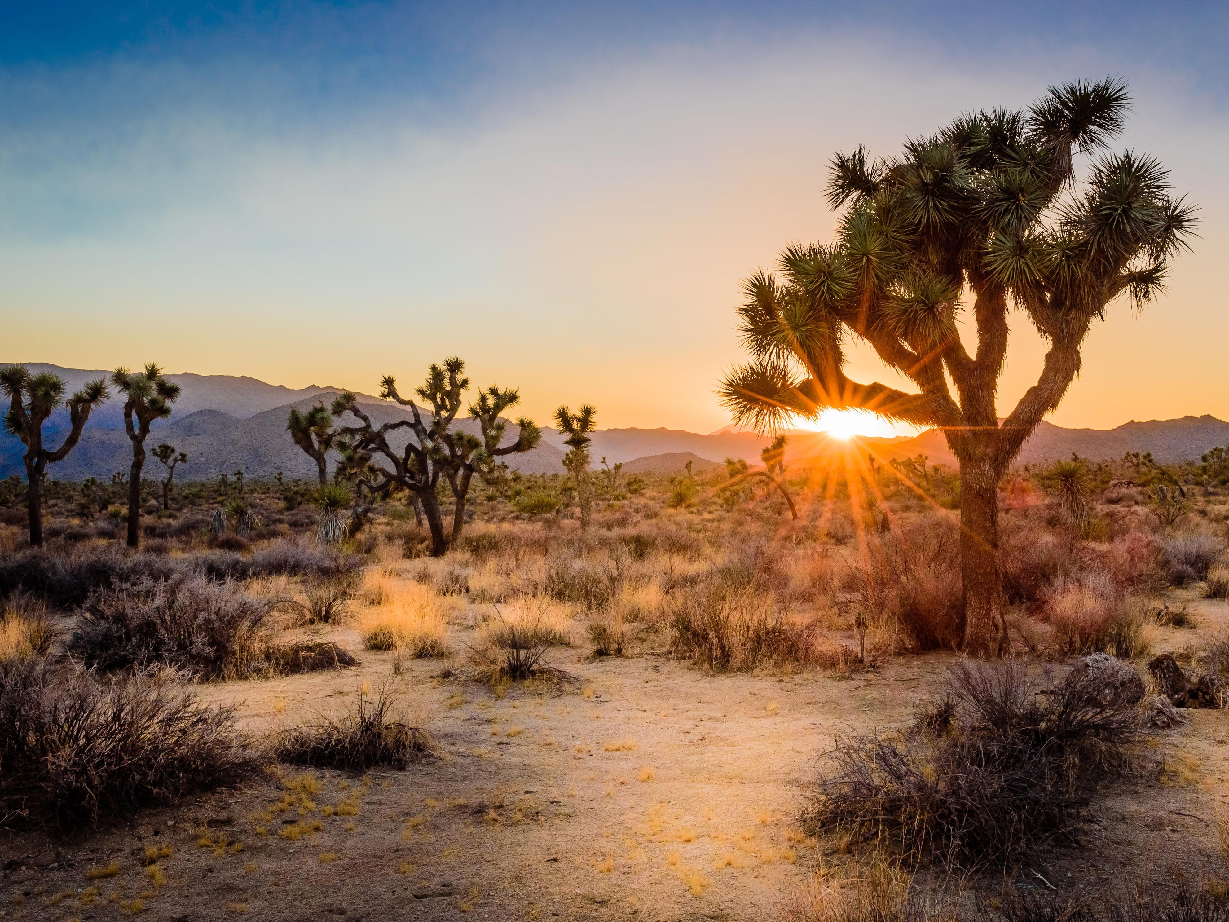 <p>In the same vein, Matt and Karen would advise against visiting <a href="https://www.businessinsider.com/staying-in-dome-house-california-desert-cheap-joshua-tree-airbnb-2024-4">Joshua Tree National Park</a> in the summer as it can get "brutally hot."</p><p>Instead, they say the best time to go is January and February when temperatures are cooler. </p><p>When you arrive, they suggest trekking their favorite hike, the Panorama Loop, which they say is less crowded and offers great views.</p>