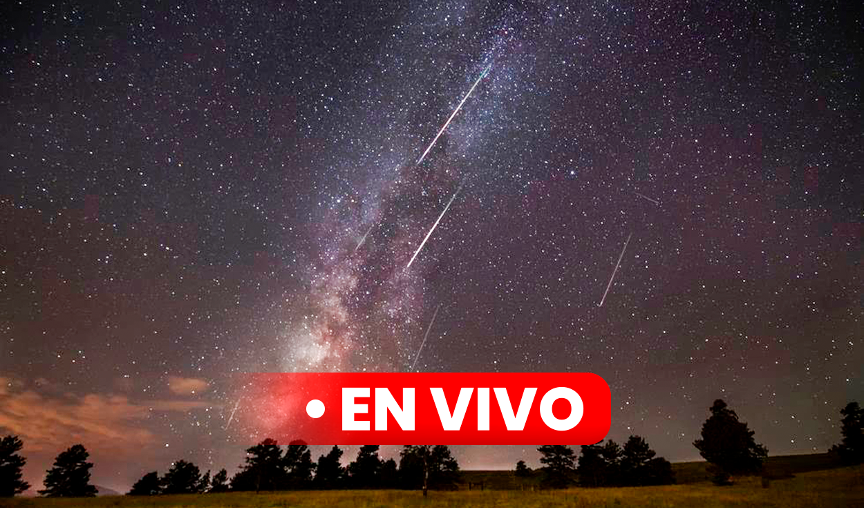 lluvia de estrellas 2024, en vivo: sigue el paso de las eta acuáridas por sudamérica