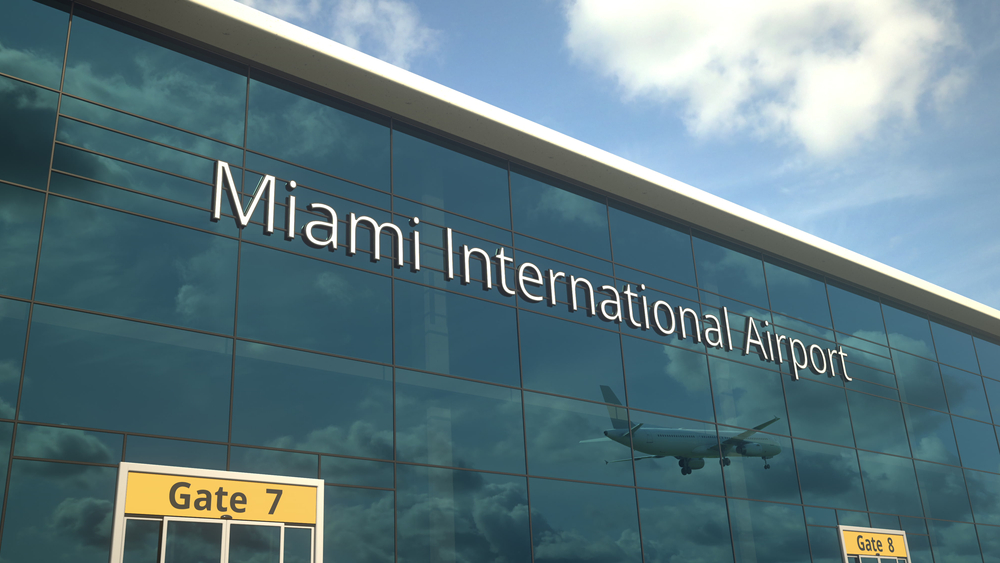 photo: snake found inside man's pants in miami airport