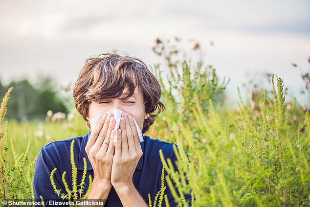 these 4 car cleaning mistakes could make your hay fever worse