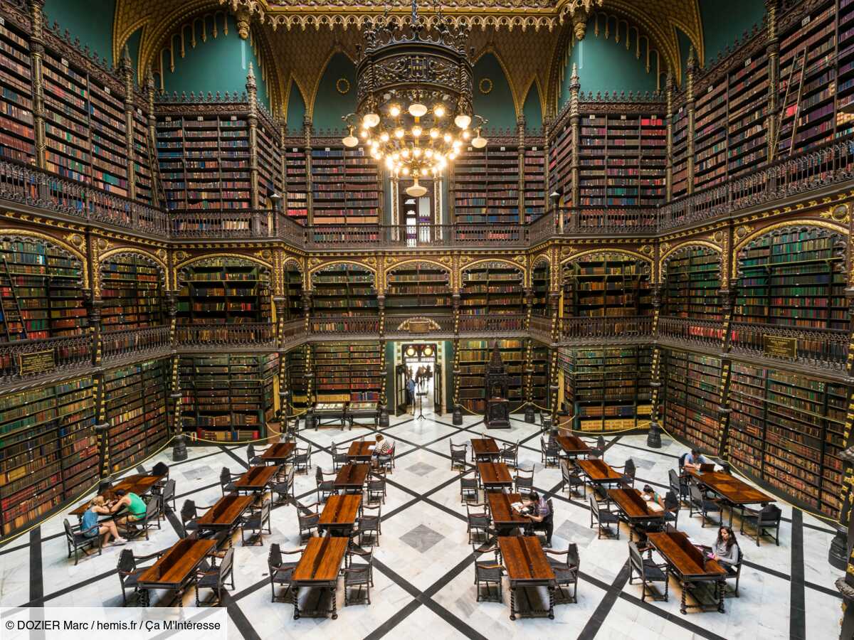 le top 8 des plus belles bibliothèques du monde