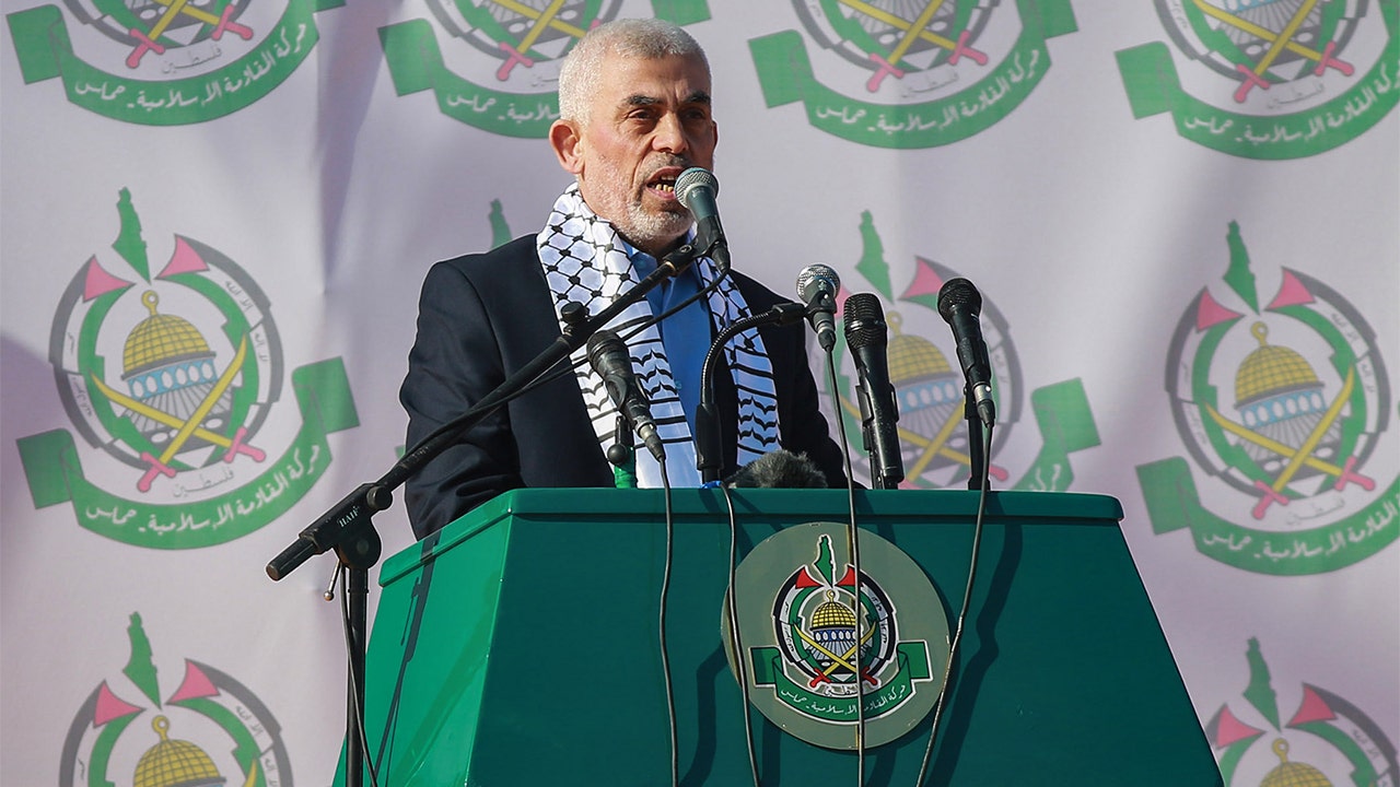 hamas kingpin holed up deep below gaza, surrounded by hostages used as human shields, says expert