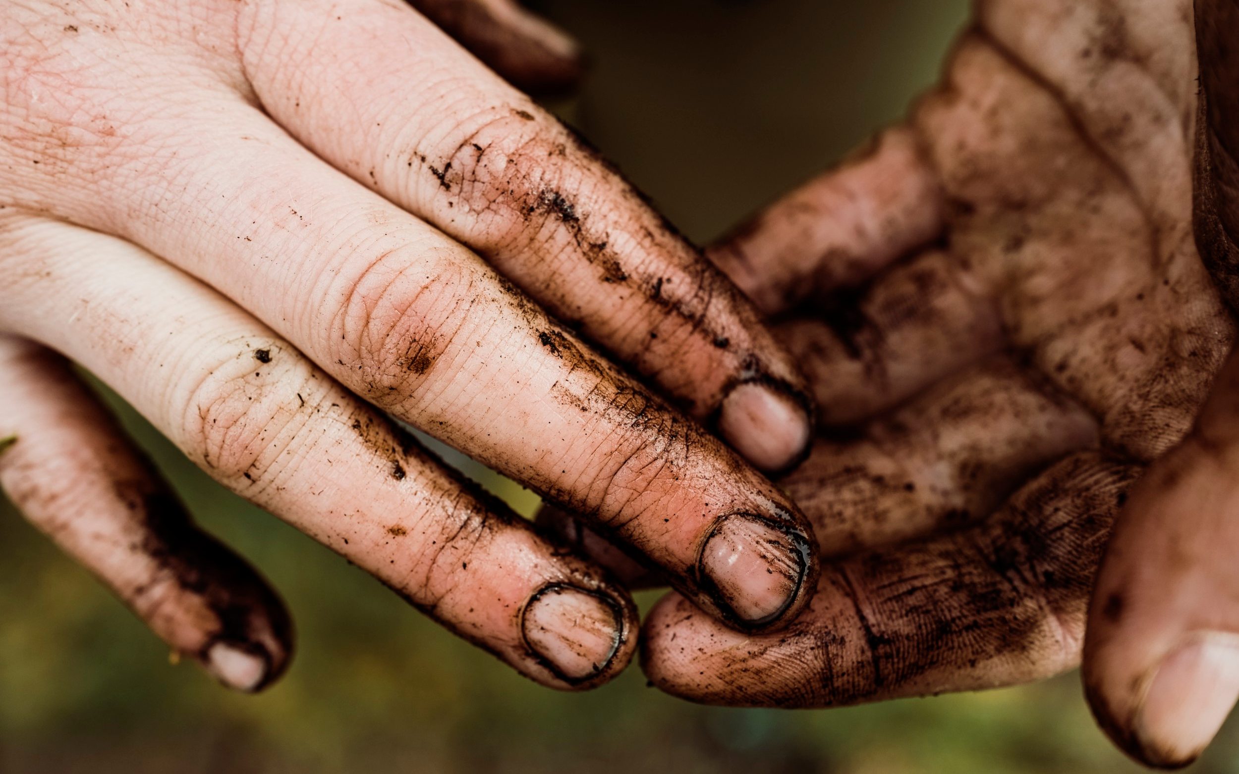 the surprising health benefits of dirt