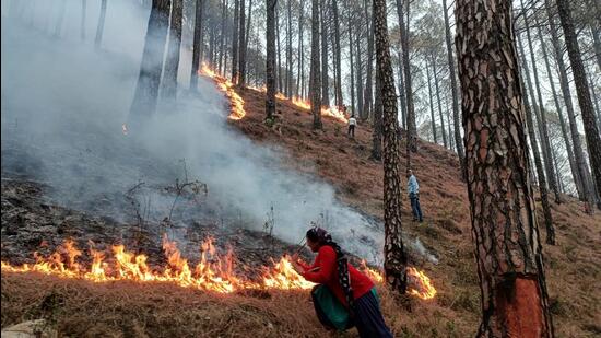 Uttarakhand Ups Vigil As Forest Fires Continue