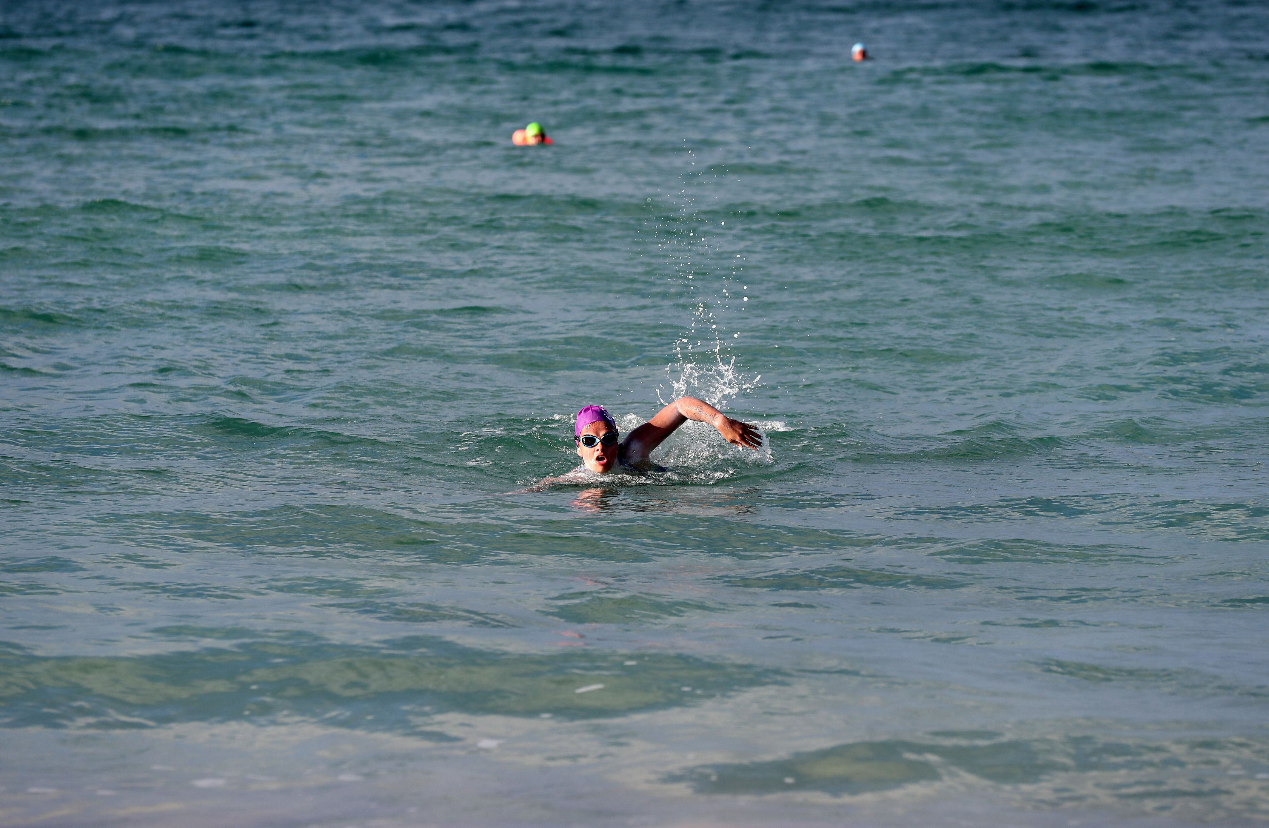 kristy fisher completes 22km swim from poor knights islands to matapouri