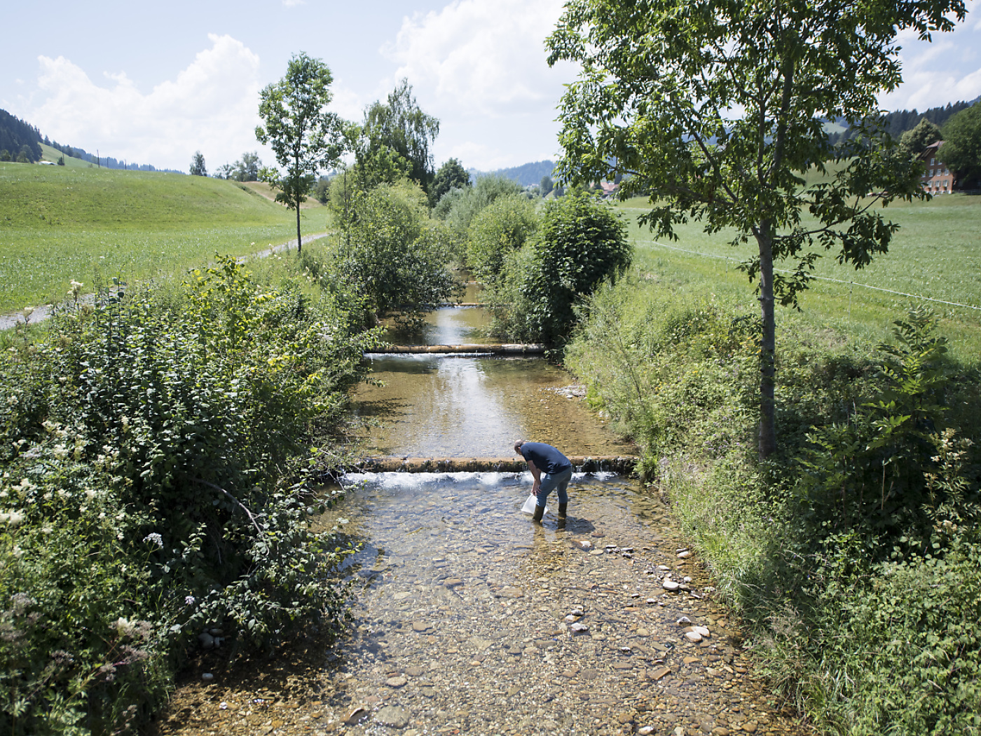 ökologischer zustand von schweizer bächen laut studie ungenügend