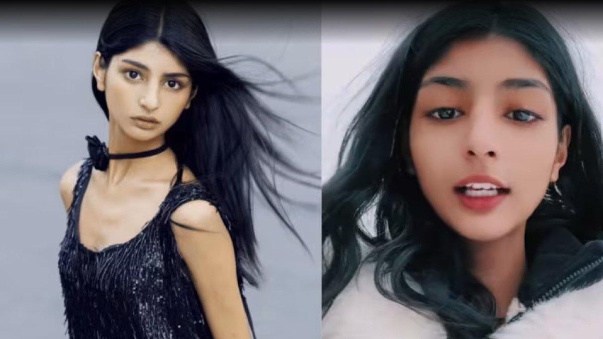 sosok fan zihe,gadis pakistan diadopsi petani asal china,paras cantik dipuji kini jadi model