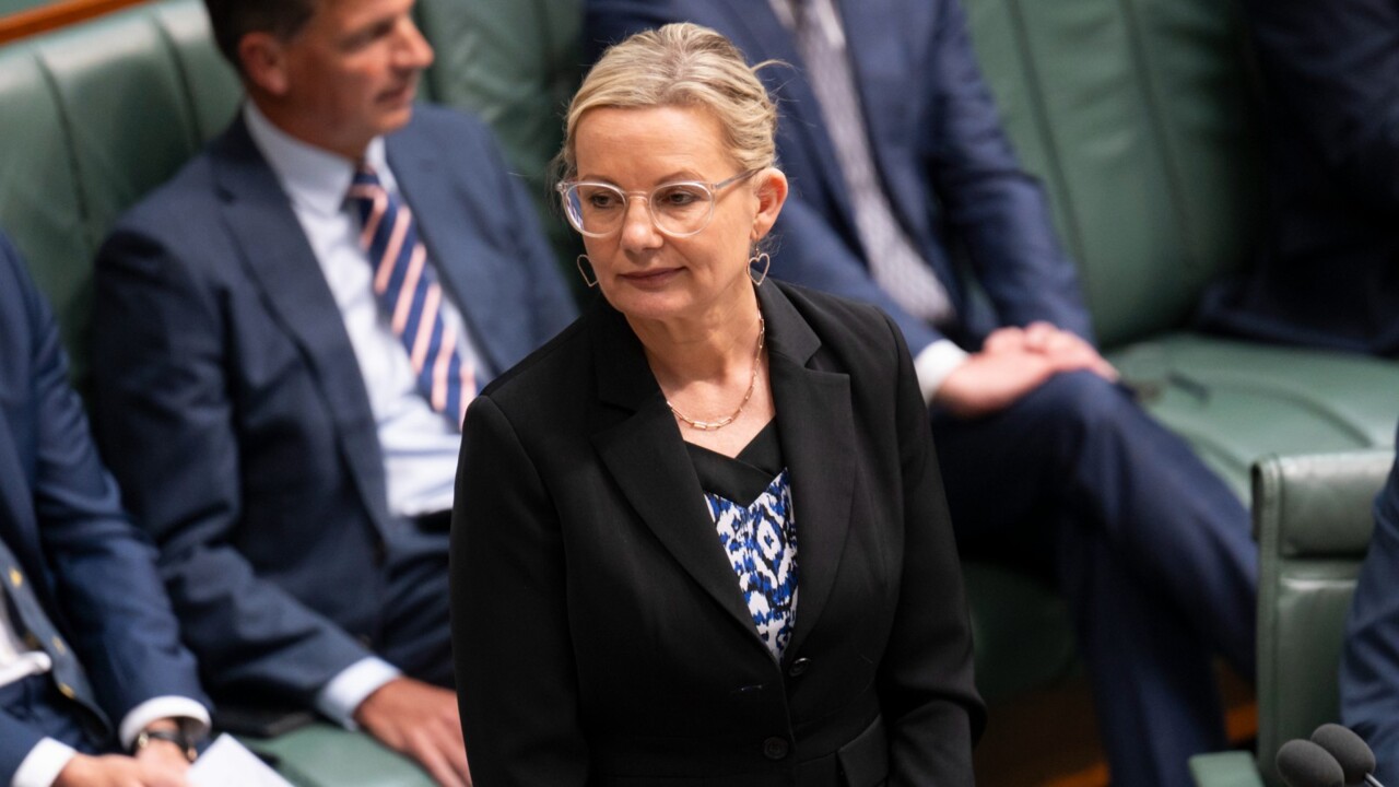 ‘let the cat out the bag’: sussan ley hints at tax changes