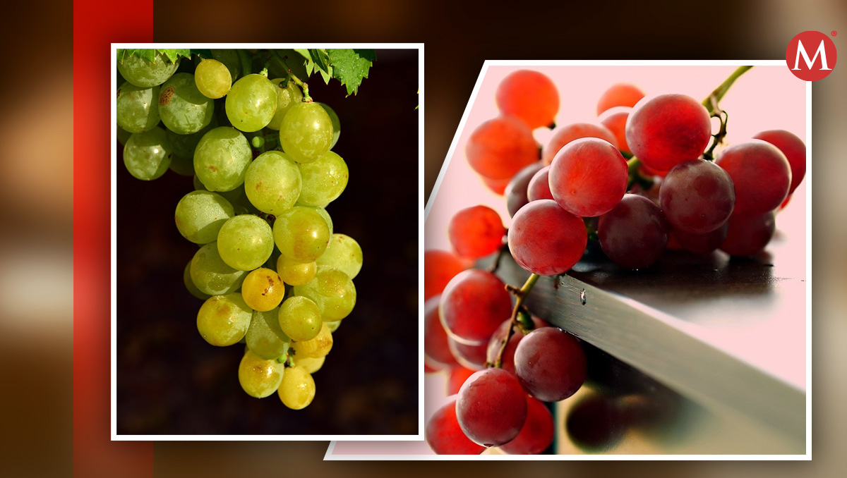 exportaciones de uva repuntaron 9% promedio anual en cinco años: sader