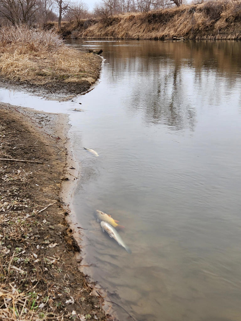 Iowa DNR director asked to take action after fertilizer spill that ...