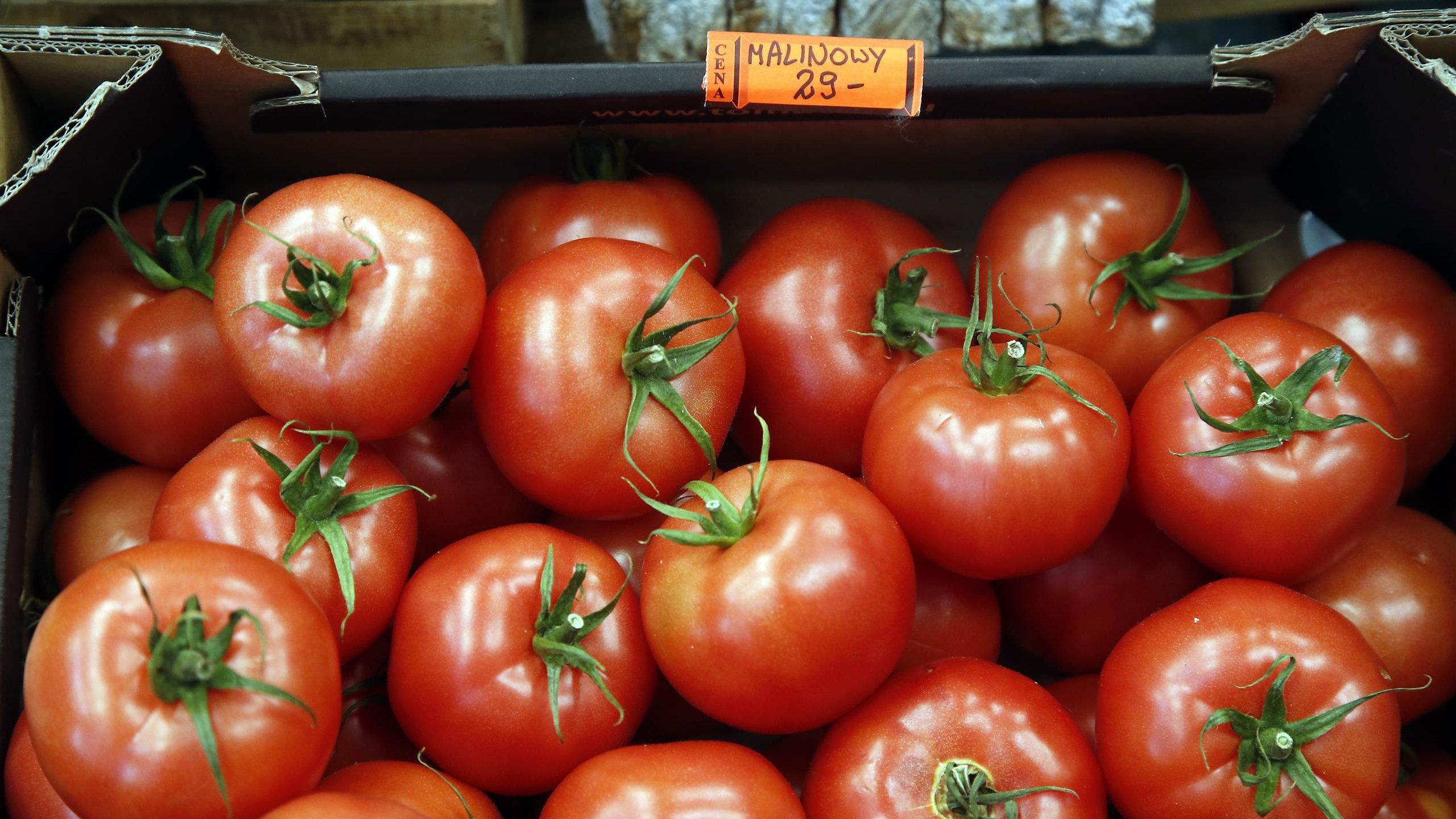 wzięli pod lupę pomidory z polskich marketów. zaskakujący wynik badań