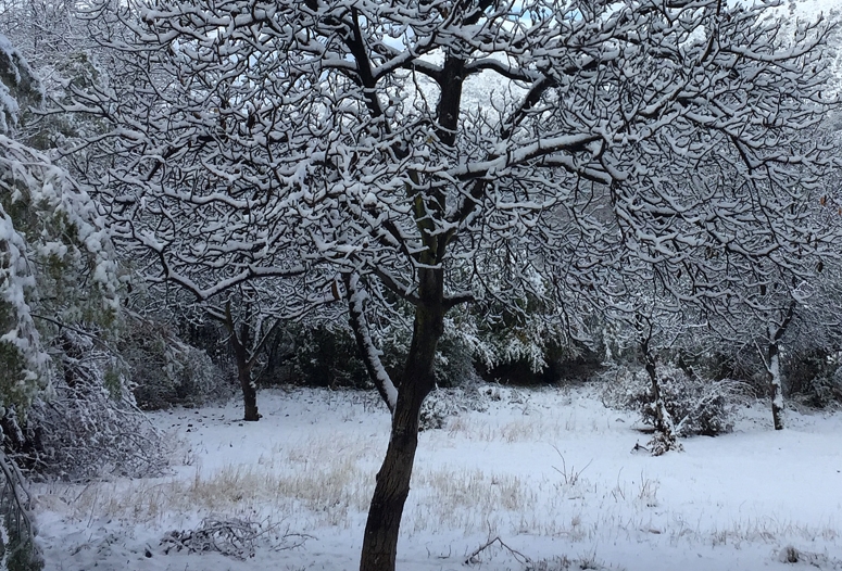 frío, lluvia y nieve en santiago: el invernal pronóstico que se viene