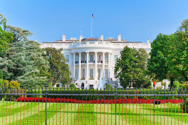 Driver Dies Crashing Car Into White House Gate