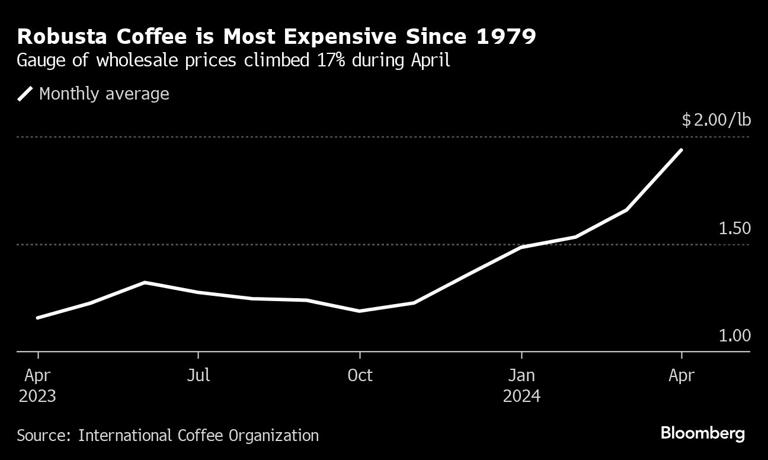 Robusta Coffee is Most Expensive Since 1979 | Gauge of wholesale prices climbed 17% during April