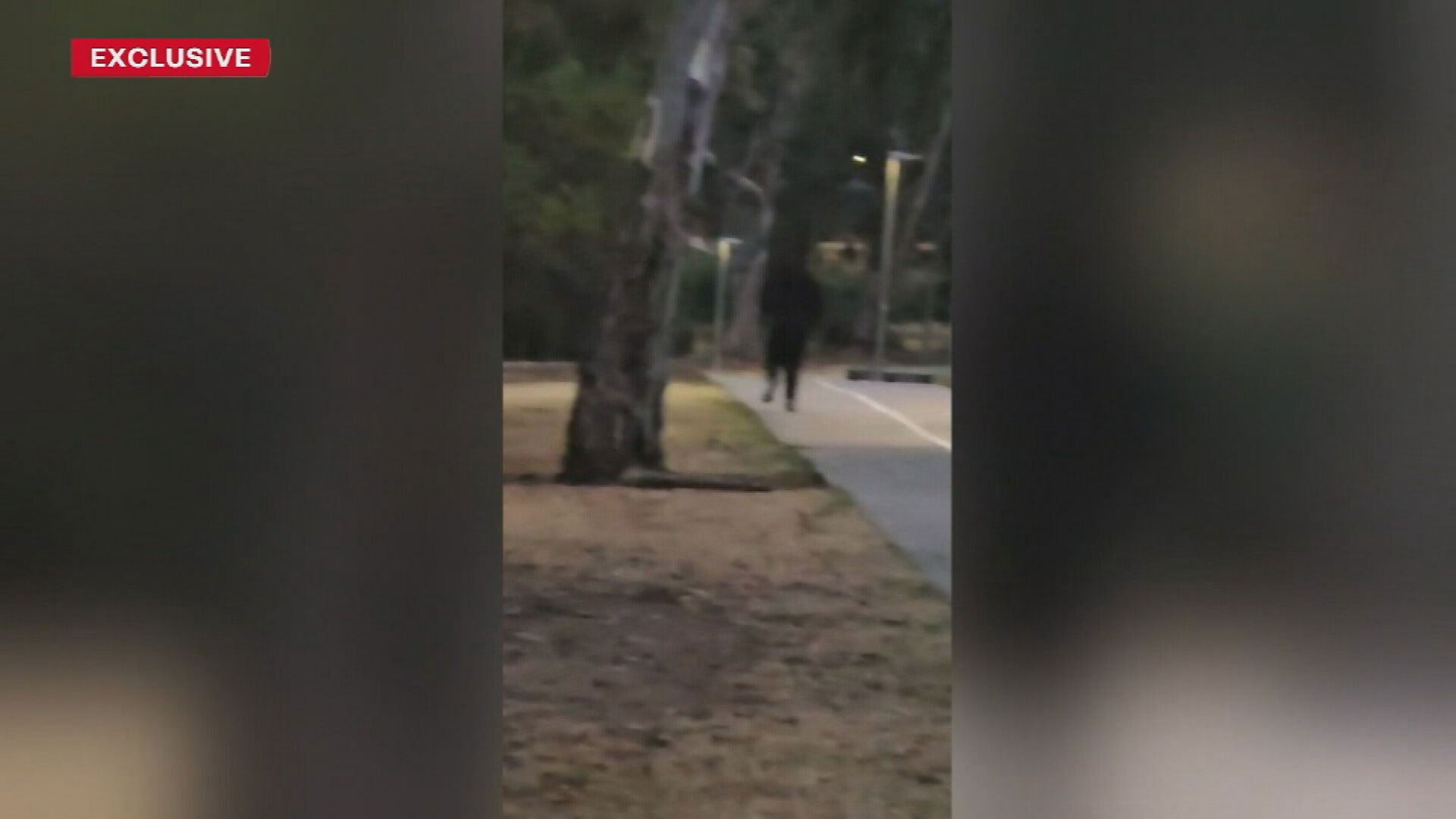 a dozen women report allegedly being stalked by man on popular adelaide trail