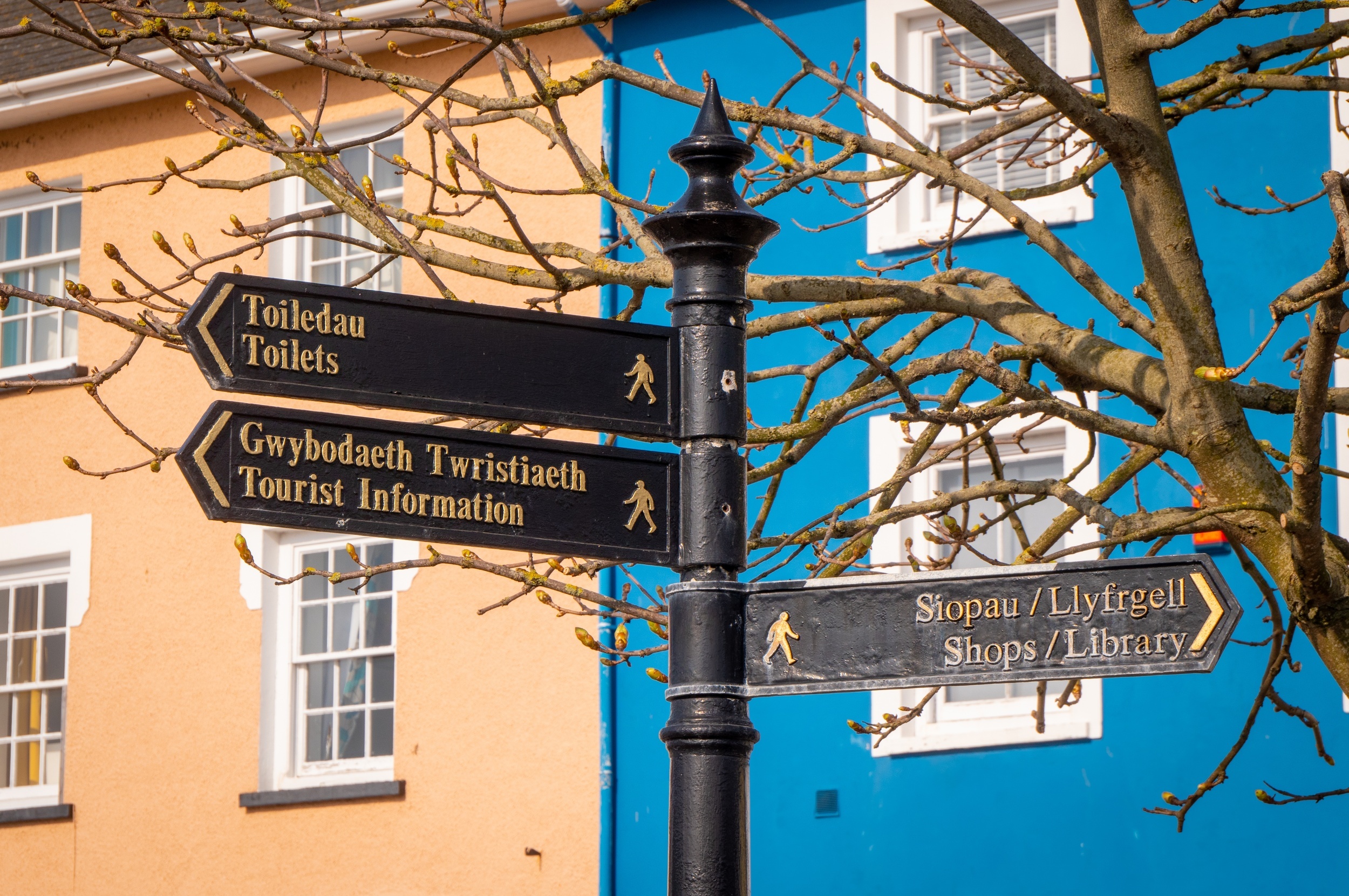 <p>Welsh, one of the languages spoken in Wales, has a lot in common with English. Certain aspects of it will be challenging to pick up on, like pronunciation, but spelling and vocabulary should come easily. </p><p>You may also like: <a href='https://www.yardbarker.com/lifestyle/articles/20_us_unique_museums_you_wont_believe_are_real/s1__40261792'>20 U.S. unique museums you won’t believe are real</a></p>