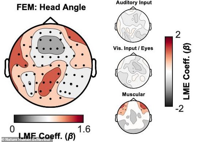 our brains have a built-in gps! scientists pinpoint a 'neural compass'