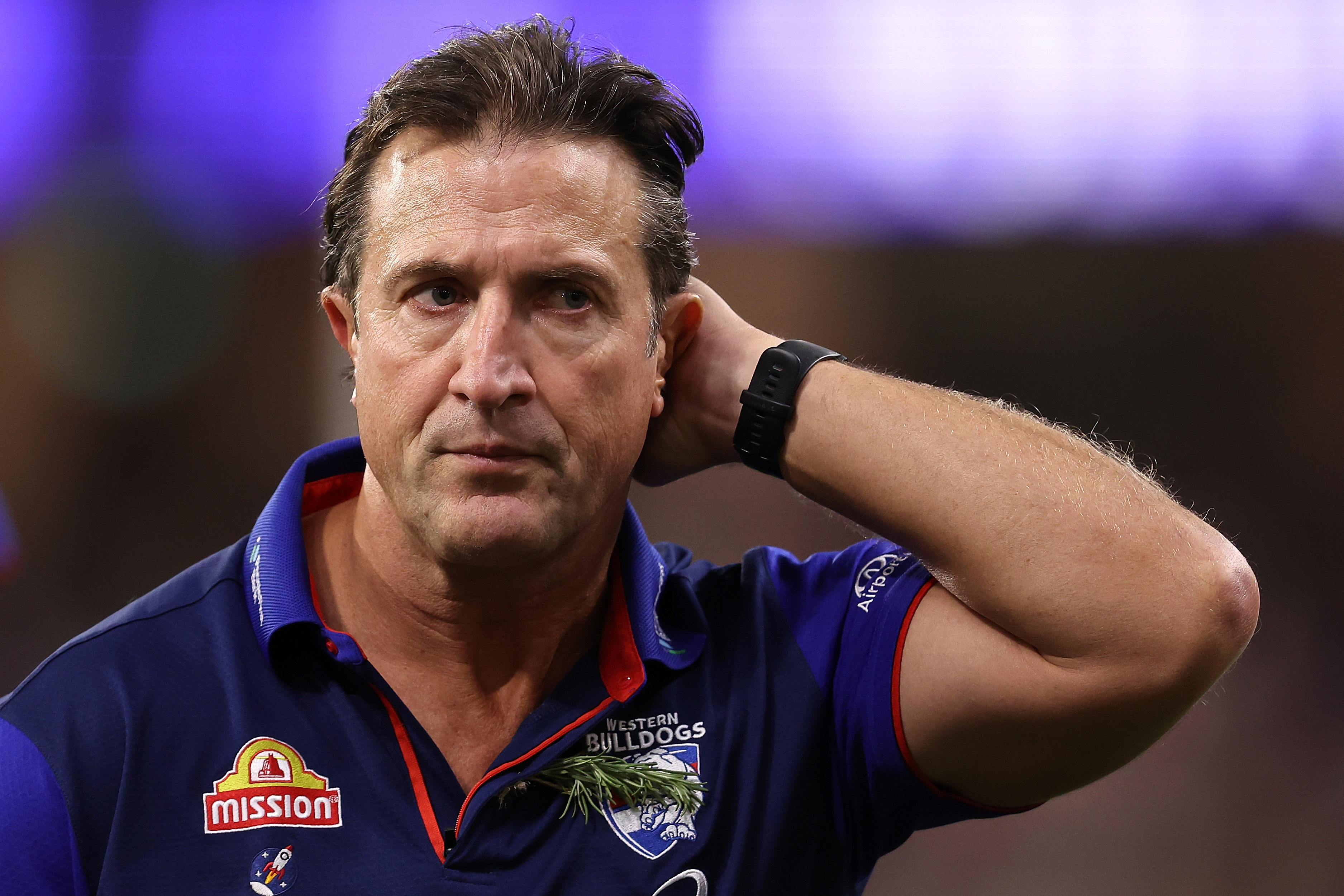 dogs whack 'personal and aggressive' coach criticism
