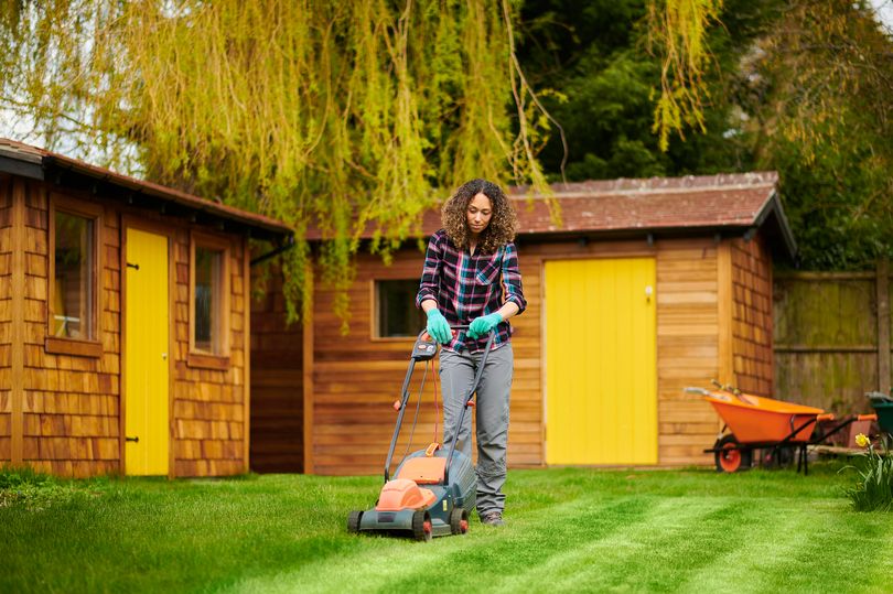 common garden mistakes that could be 'recipe for disaster' for lawn