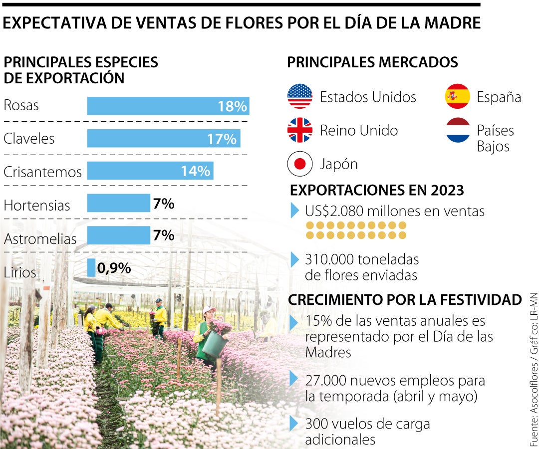 el día de la madre representa 15% de las exportaciones del sector floricultor del país