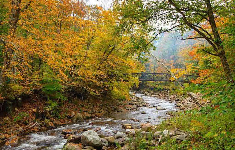 24-beautiful-spots-in-the-green-mountain-national-forest-that-most