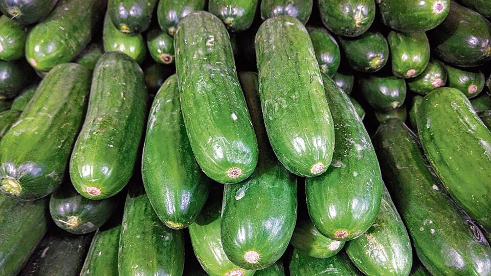 india's pickled mini cucumbers are a global delight