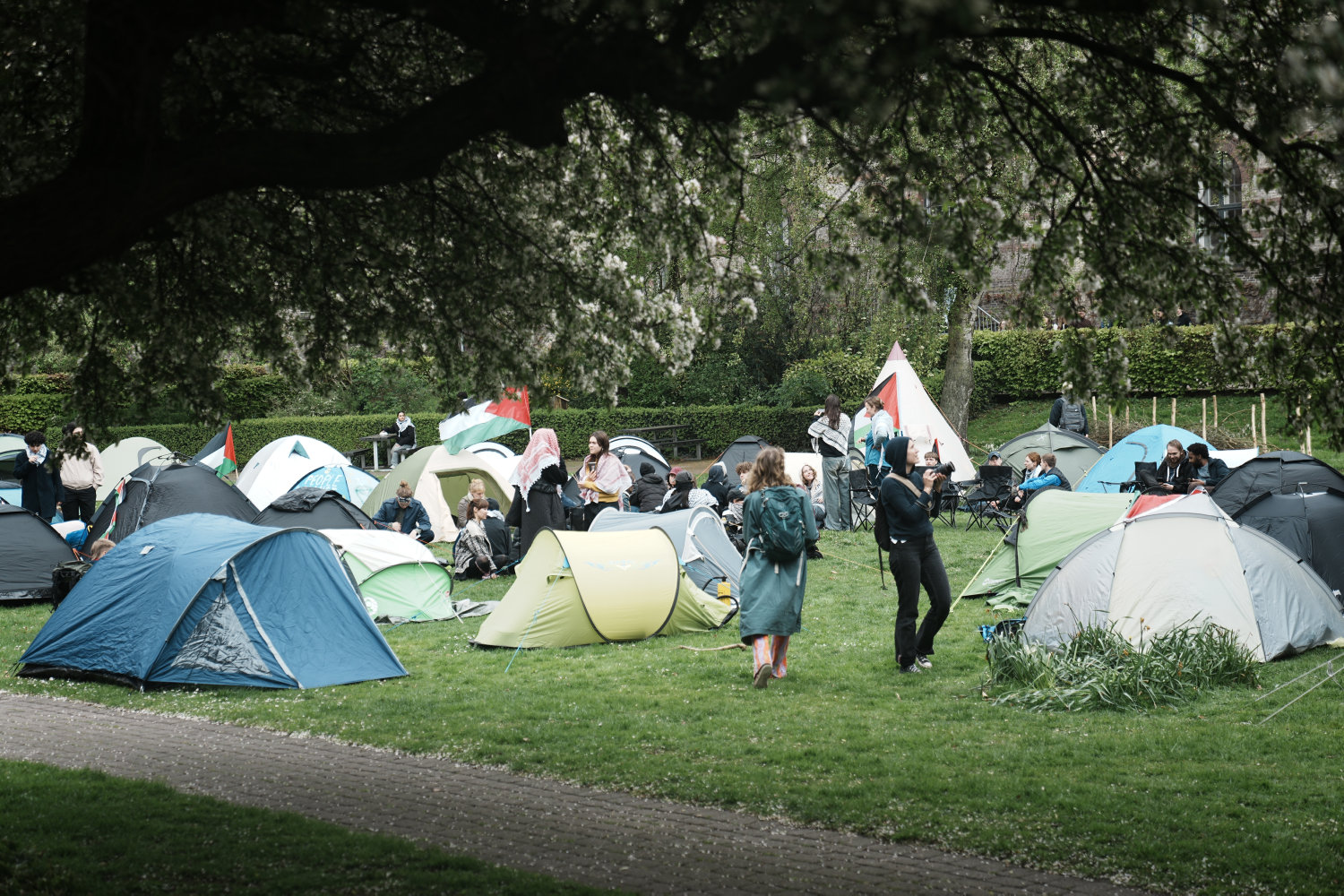 ku-studerendes talerør om teltlejr: det er deres ret
