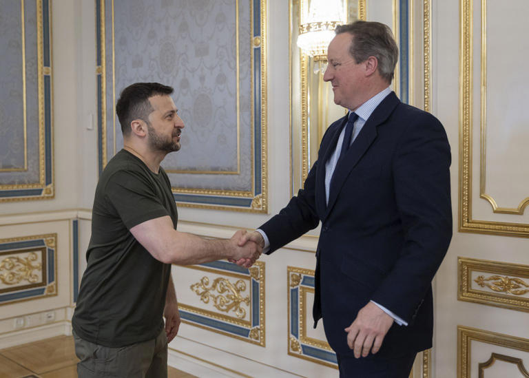 Lord David Cameron meeting Ukrainian President Volodymyr Zelensky in Kyiv