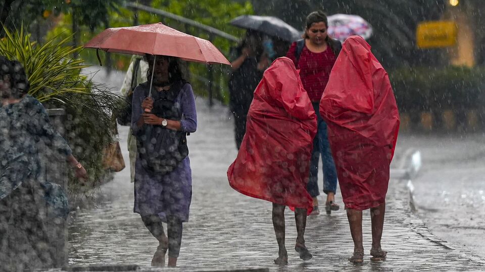 bengaluru rains: waterlogged roads, fallen trees, hailstorm grip city days after severe water crisis