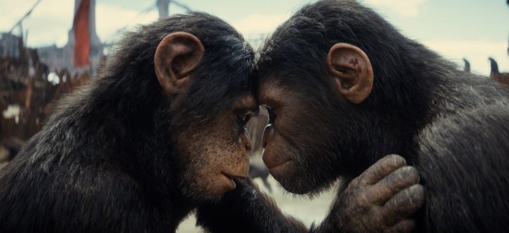 ‘kingdom of the planet of the apes' review: the franchise essentially reboots with a tale of survival set - at last - in the ape-ruled future