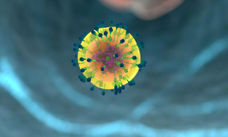 Immune changes linked to diabetes could guide development of new cancer ...