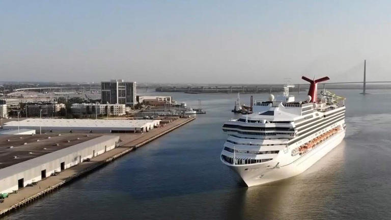Members of the Mount Pleasant community discussed the possibility of cruise ships coming to Mount Pleasant as a contract between the South Carolina Ports and Carnival Cruise Lines setting Charleston as a port terminal ends at the end of the year.