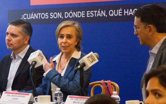 ‘gobierno debió testear datos personales’ en caso pemex -casar: ana lilia pérez