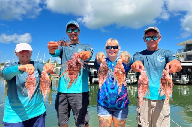 diving teams win thousands after removing record-breaking number of highly invasive lionfish: 'we are very thankful'