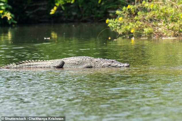 mother throws her disabled son, 6, into a crocodile-infested river