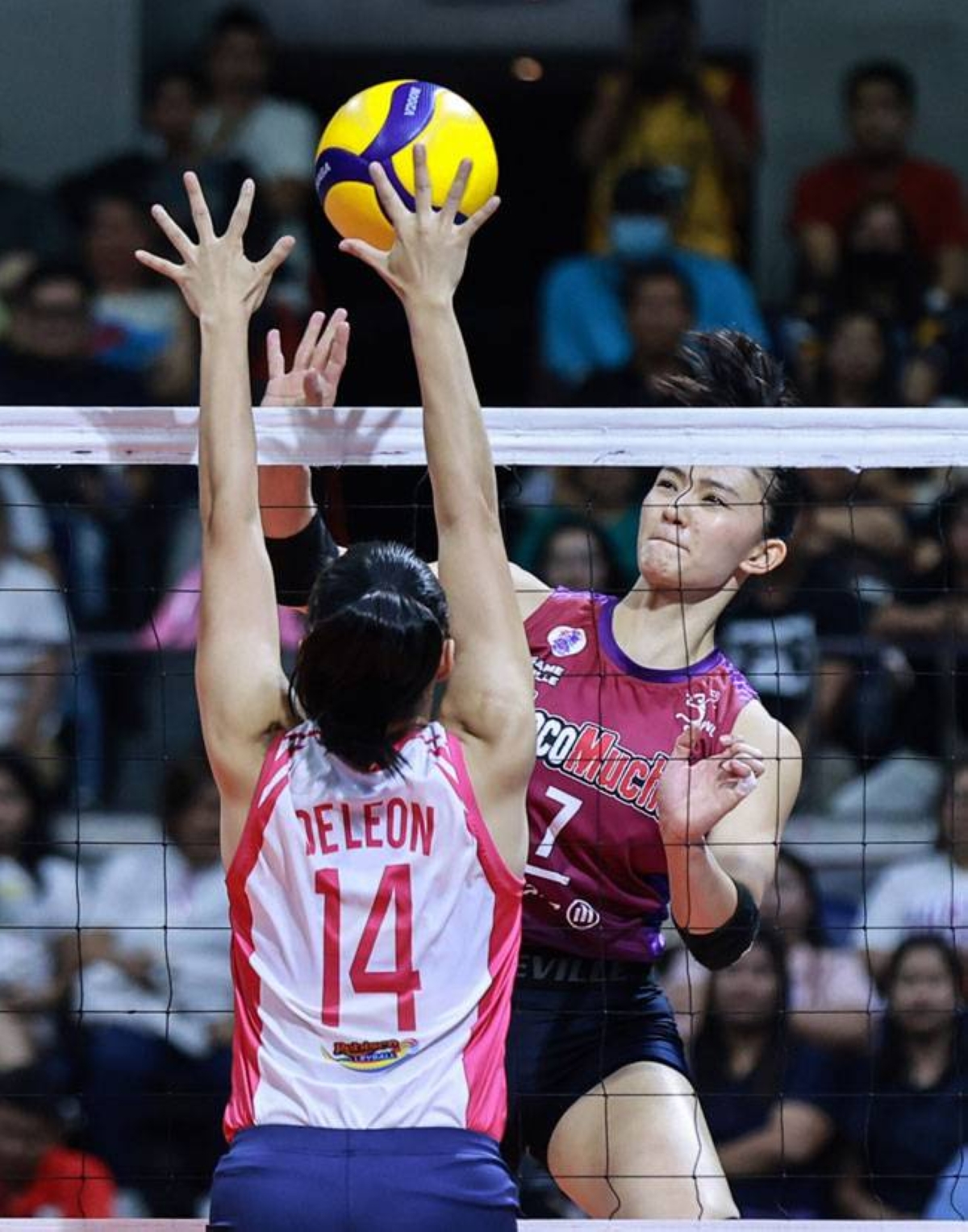 titans seek to change story in pvl finals