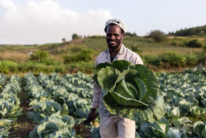 mondi zimele spurs local economic recovery with 122 emerging farmers