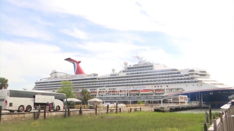 Push to bring a cruise terminal to Mount Pleasant discussed in public input meeting