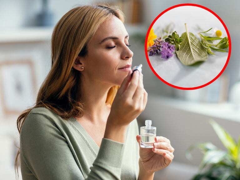 3 olores buenos para ayudar a memorizar: ¿cómo usarlos?