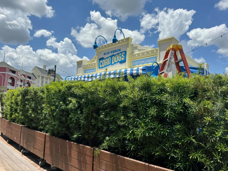 The Blue Ribbon Corn Dogs stand at Disney’s BoardWalk is nearing completion and, hopefully, opening. Since signs were installed last month, awnings have been added to the stand. Blue Ribbon Corn Dogs There’s one awning on each side of the kiosk. They are striped blue and white, matching the color scheme of Blue Ribbon Corn ... Read more