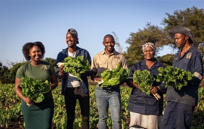 mondi zimele spurs local economic recovery with 122 emerging farmers