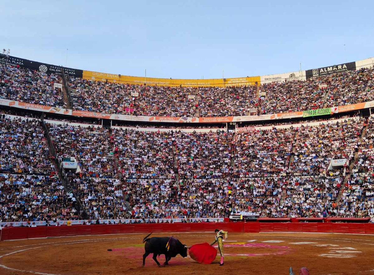 juez suspende por tercera vez las corridas de toros en la cdmx
