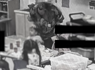‘Out of control’: Footage shows alleged abuse of preschool kids by former teacher’s aide<br><br>