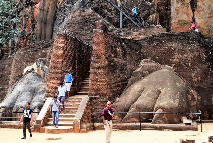 Good New Travellers! Sri Lanka Extends Visa-Free Entry For Indians; Check Requirements, Visa Fees