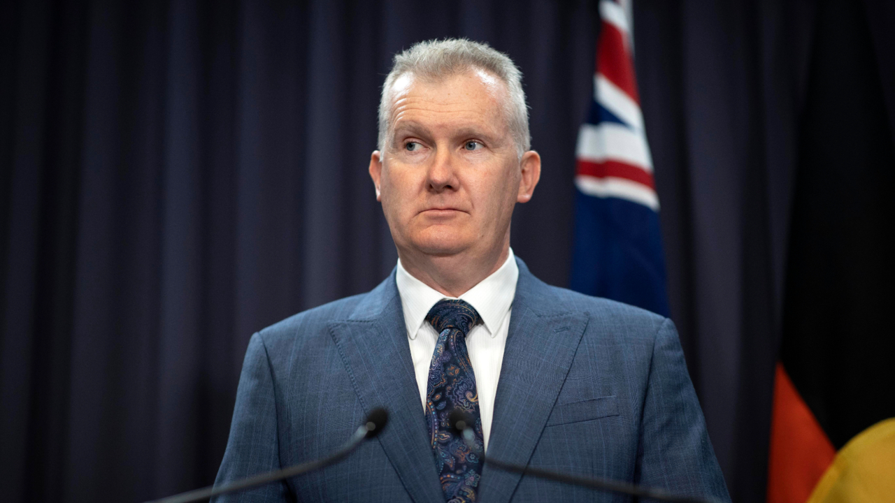 ‘double standards’: sky news host calls out tony burke over anti-israel university protests