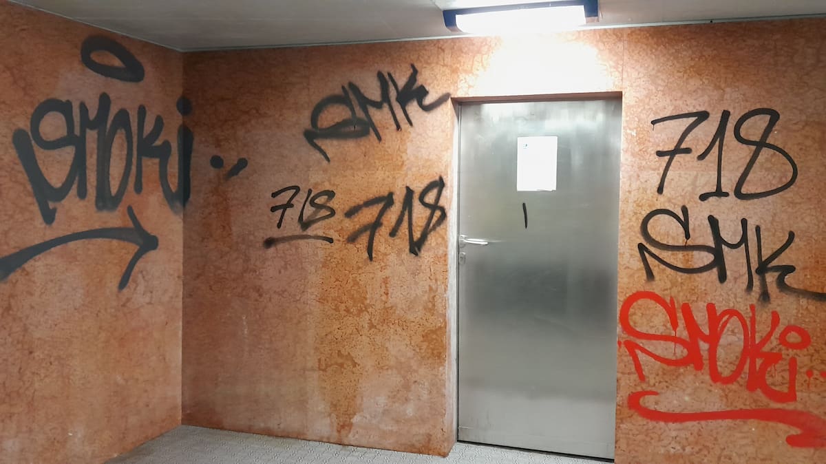 männer (18,20) im kanton waadt festgenommen: graffiti-schmierfinken auf frischer tat ertappt