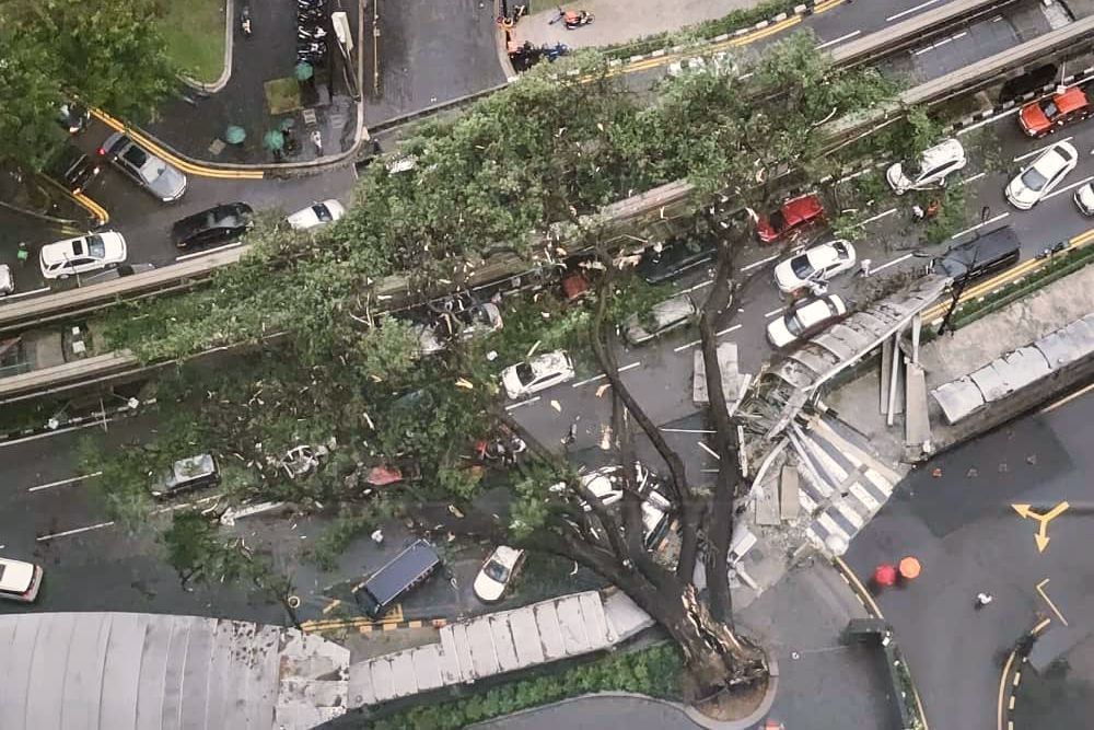 one dead, another injured as tree falls in kl city centre