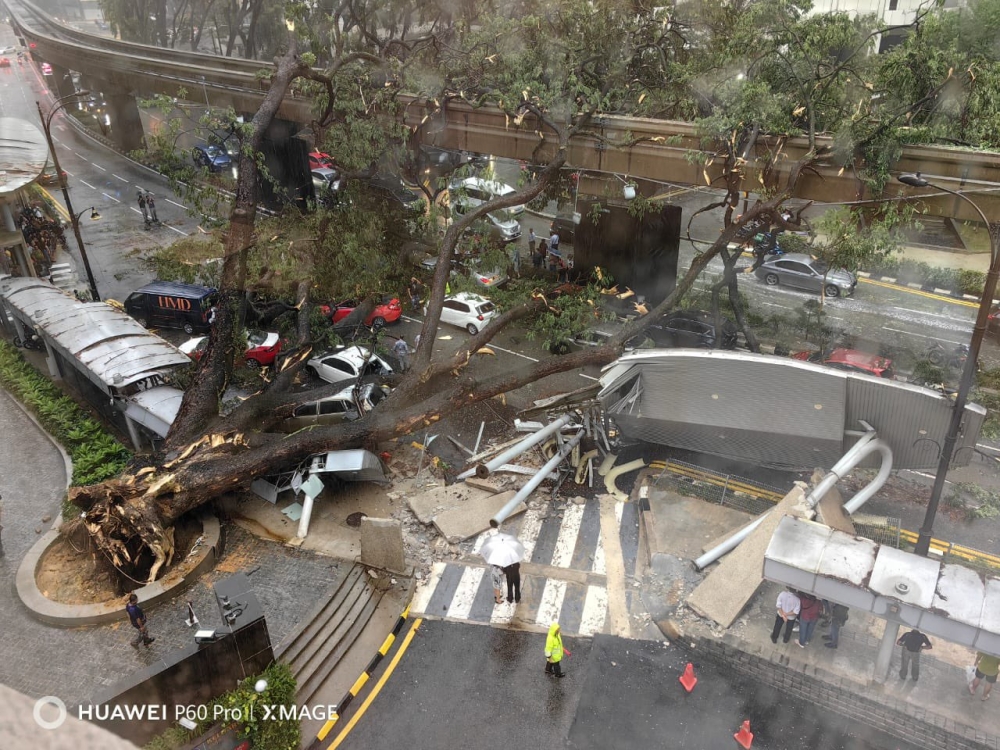 tree falls on road, monorail track in kl city centre during storm, blocking road traffic and disrupting train service