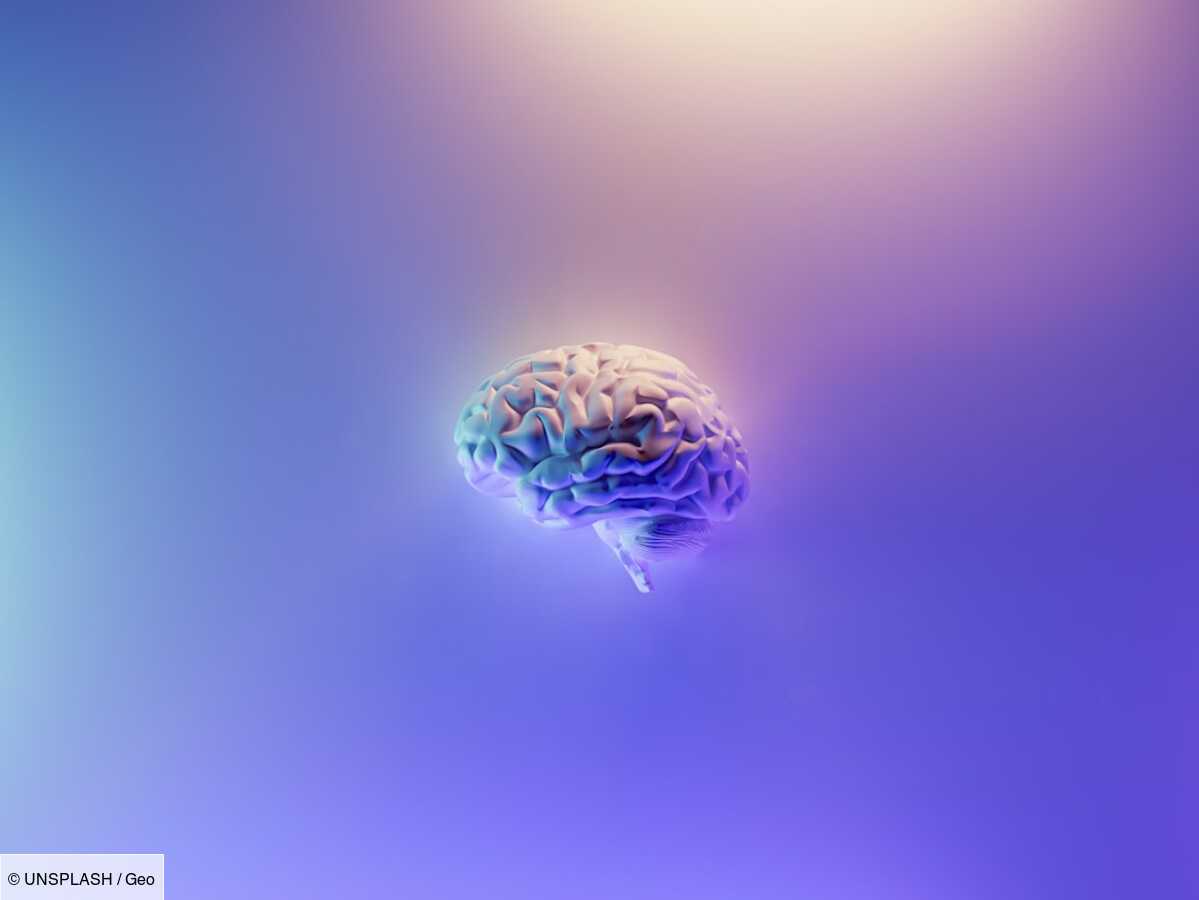 l'ablation du cerveau, l'avenir de la cryonie et une voie vers l'immortalité ?