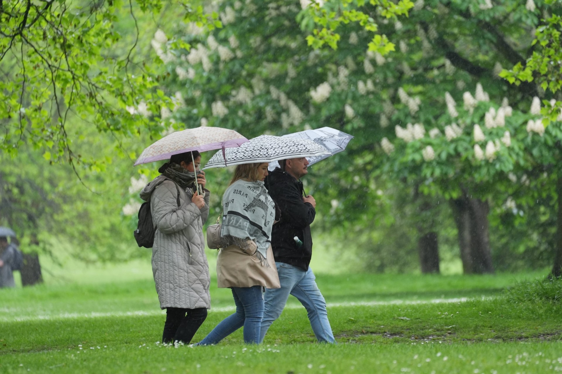 warm weather is finally here (but get set for a washout summer)